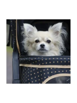 Adventure lemmikkirattaat