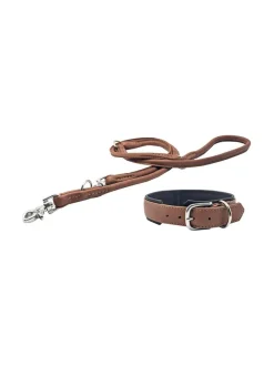 Amici kaulapanta + hihna setti - Konjakki