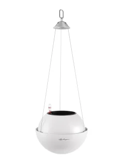 Amppeli Bola Color altakasteluruukku Lechuza