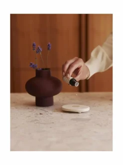 Aroma Stone & Lemon -tuoksukivi ja eteerinen öljy