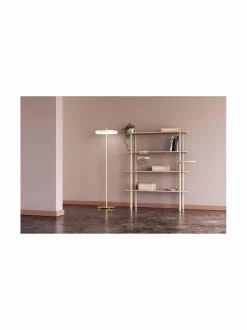 Asteria-lattiavalaisin