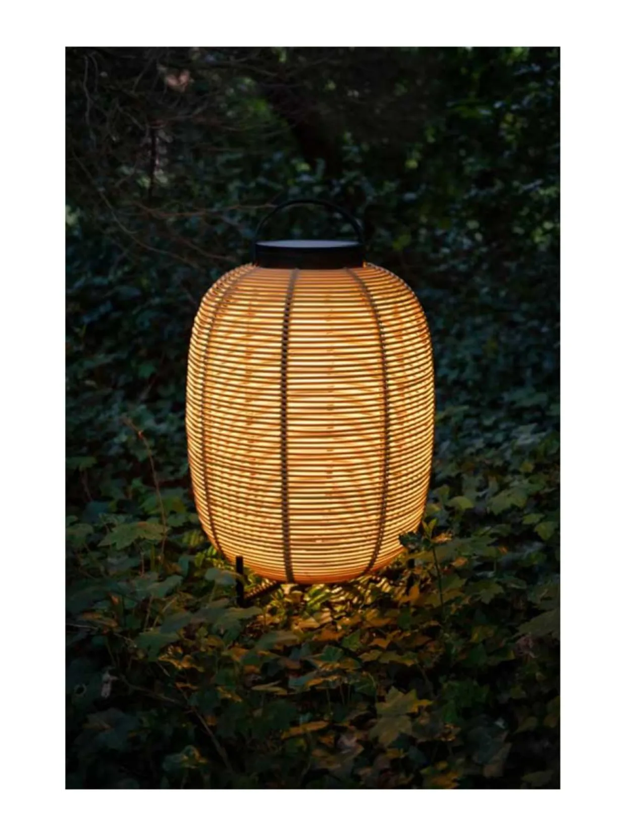 Aurinkokennovalaisin Tika 69 cm, teräsjalka, Camel