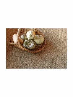 Barrakuda-sisalmatto