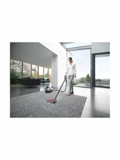 Big Ball Parquet 2 -pölynimuri