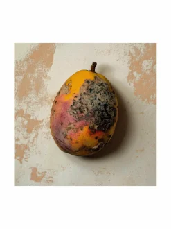 Black Mango Extrait Extrême -tuoksu