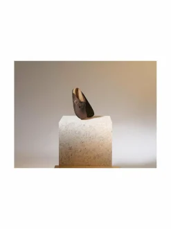 Boston-nahkatohvelit