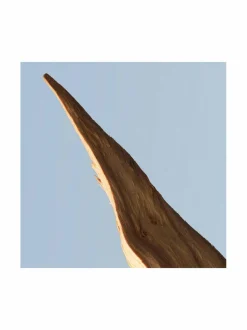 Bottled Tonic EdT-tuoksu