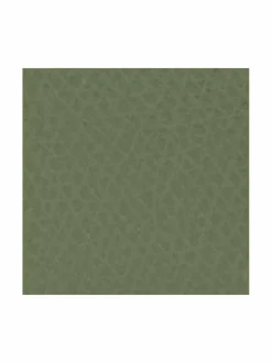 Camelia S Zipped -korttikotelo