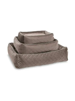 Classic Oxford koiranpeti - Samettinen