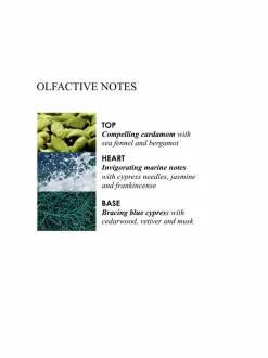 Coastal Cypress & Sea Fennel Luxury Candle -tuoksukynttilä