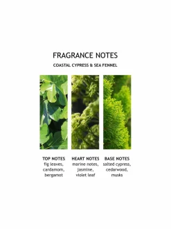 Coastal Cypress & Sea Fennel Bath & Shower Gel -suihkugeeli 300 ml