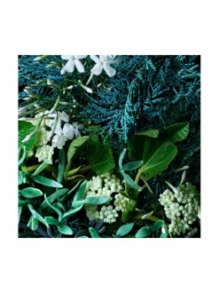 Coastal Cypress & Sea Fennel Bath & Shower Gel -suihkugeeli 300 ml