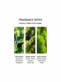 Coastal Cypress Sea Fennel Hand Lotion -käsivoide 300 ml