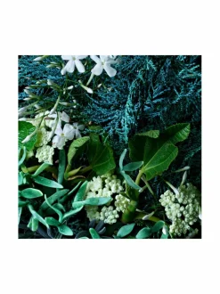 Coastal Cypress Sea Fennel Hand Lotion -käsivoide 300 ml