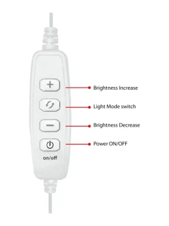 CREATOR Videosetti ja vihreä kuvaustausta