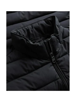 Delano Vest -toppaliivi