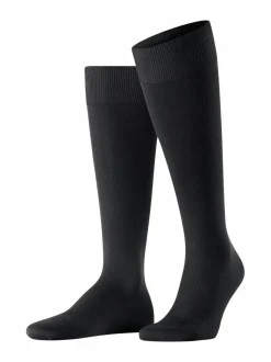 Energizing-lentosukat