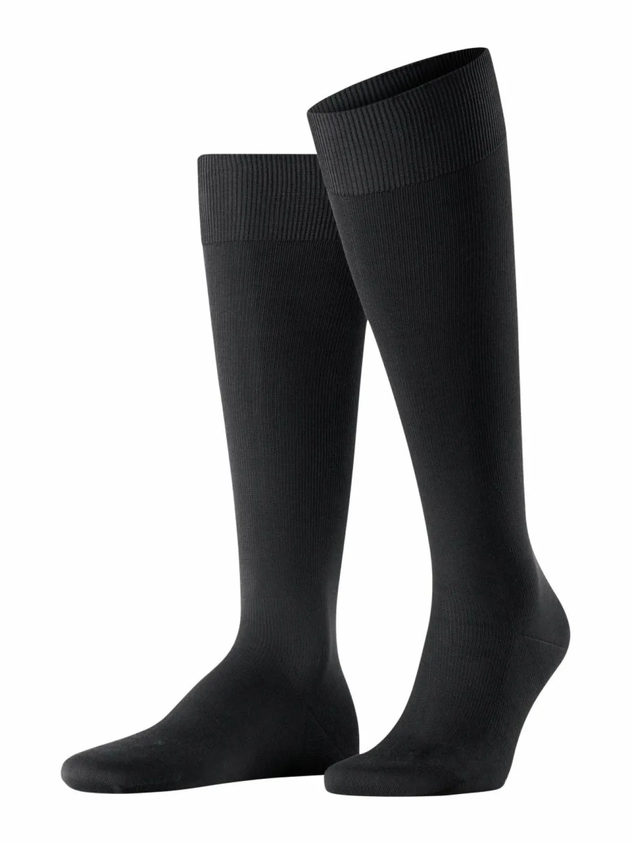 Energizing-lentosukat