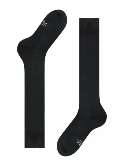 Energizing-lentosukat