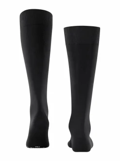 Energizing-lentosukat