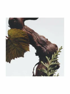 English Oak Home Candle -tuoksukynttilä