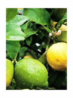 Explorer All-Over Shower Gel -suihkugeeli 150 ml