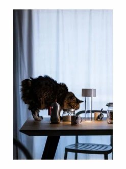 Fleur Bianco -pöytävalaisin