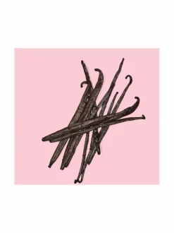 Flora Gorgeous Orchid EdP -tuoksu