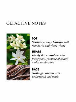 Flora Luminare Hand Wash -käsisaippua 300 ml