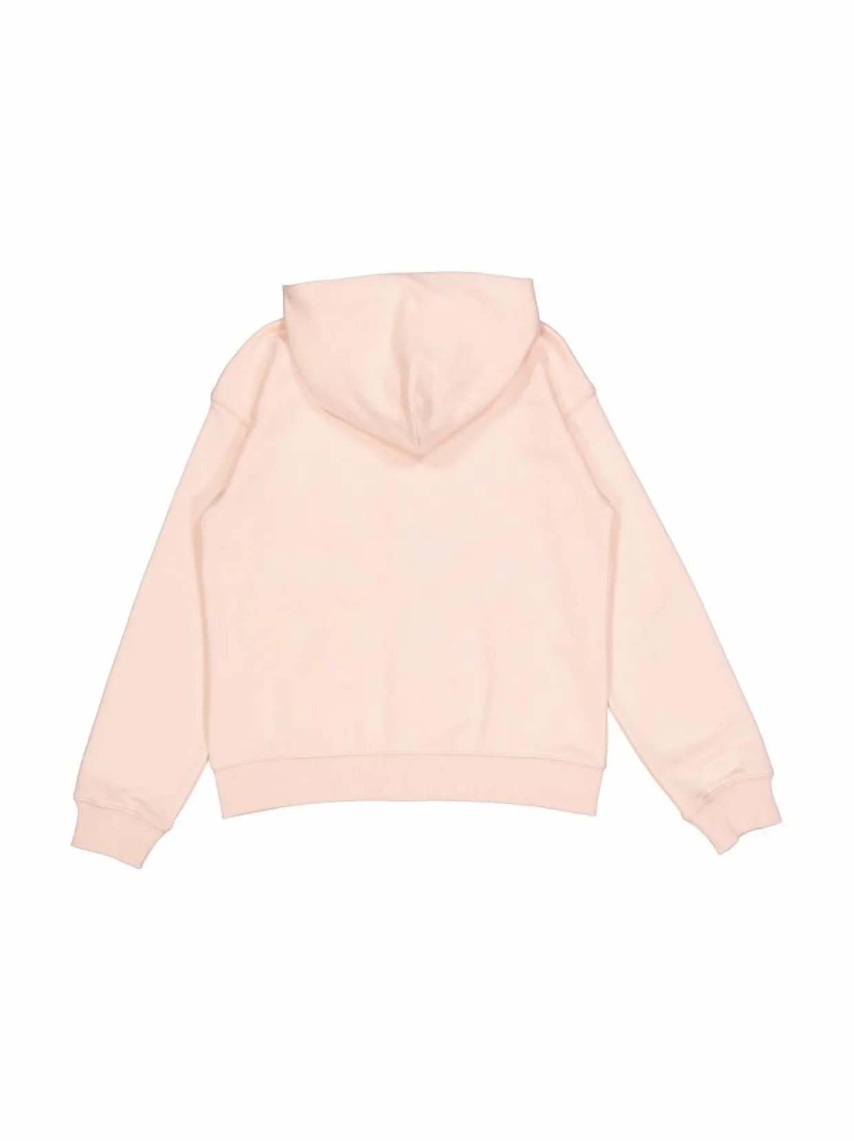 French Terry Small Logo -hupparitakki