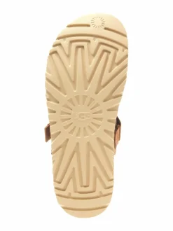 Goldenstar-pistokkaat