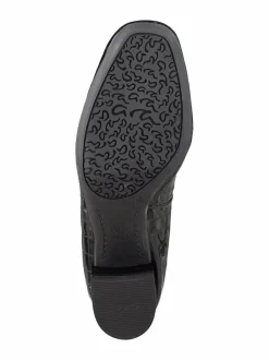 Graz- avokkaat, H-lesti