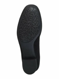 Graz- avokkaat, H-lesti