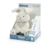 GUND Interaktiivinen pehmolelu kaniini Flora, 30 cm