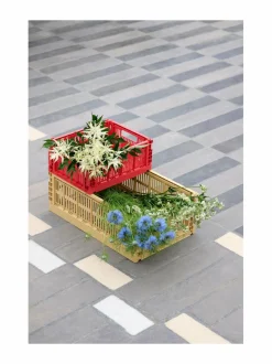 HAY Colour Crate S -säilytyskori