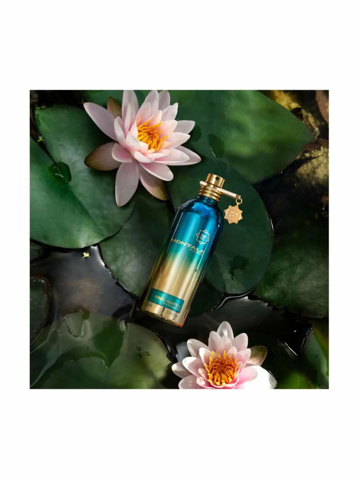 Herbal Aquatica EdP -tuoksu, 100 ml