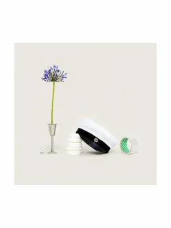 Hienompi ylioppilaslakki, suomenruotsalainen