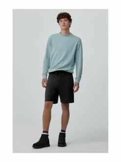 Huron-collegeshortsit