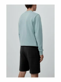 Huron-collegeshortsit