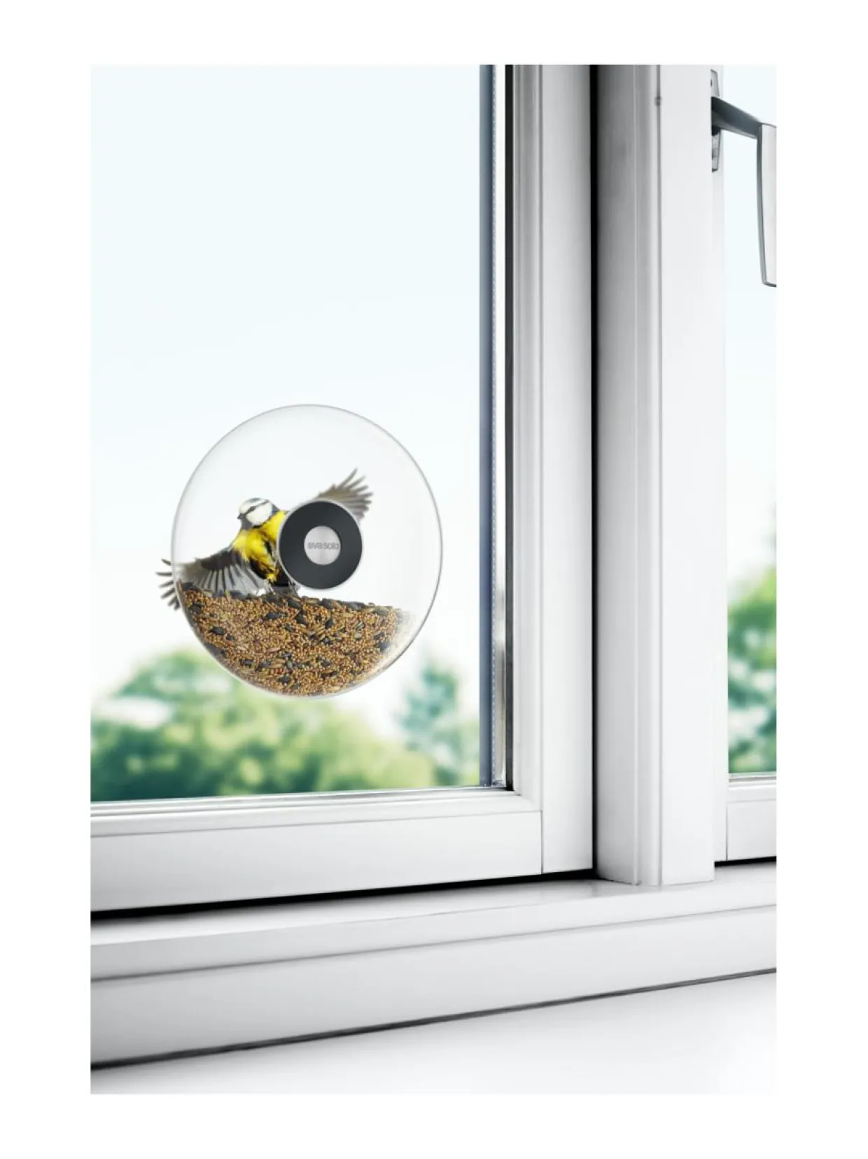 Ikkunalintulauta Ø 19,5 cm