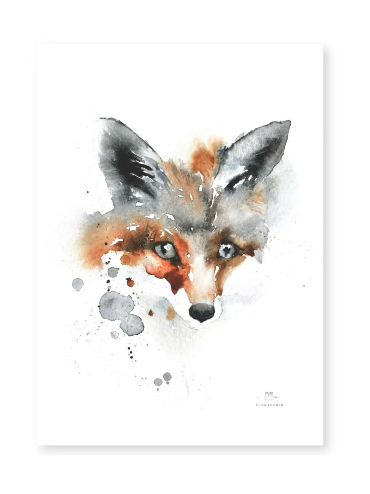 Juliste Kettu 50x70 cm