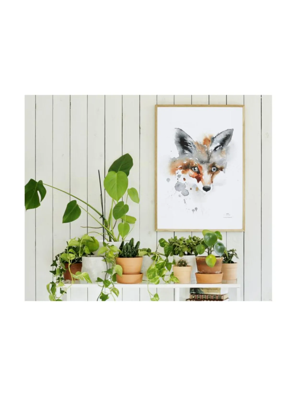 Juliste Kettu 50x70 cm