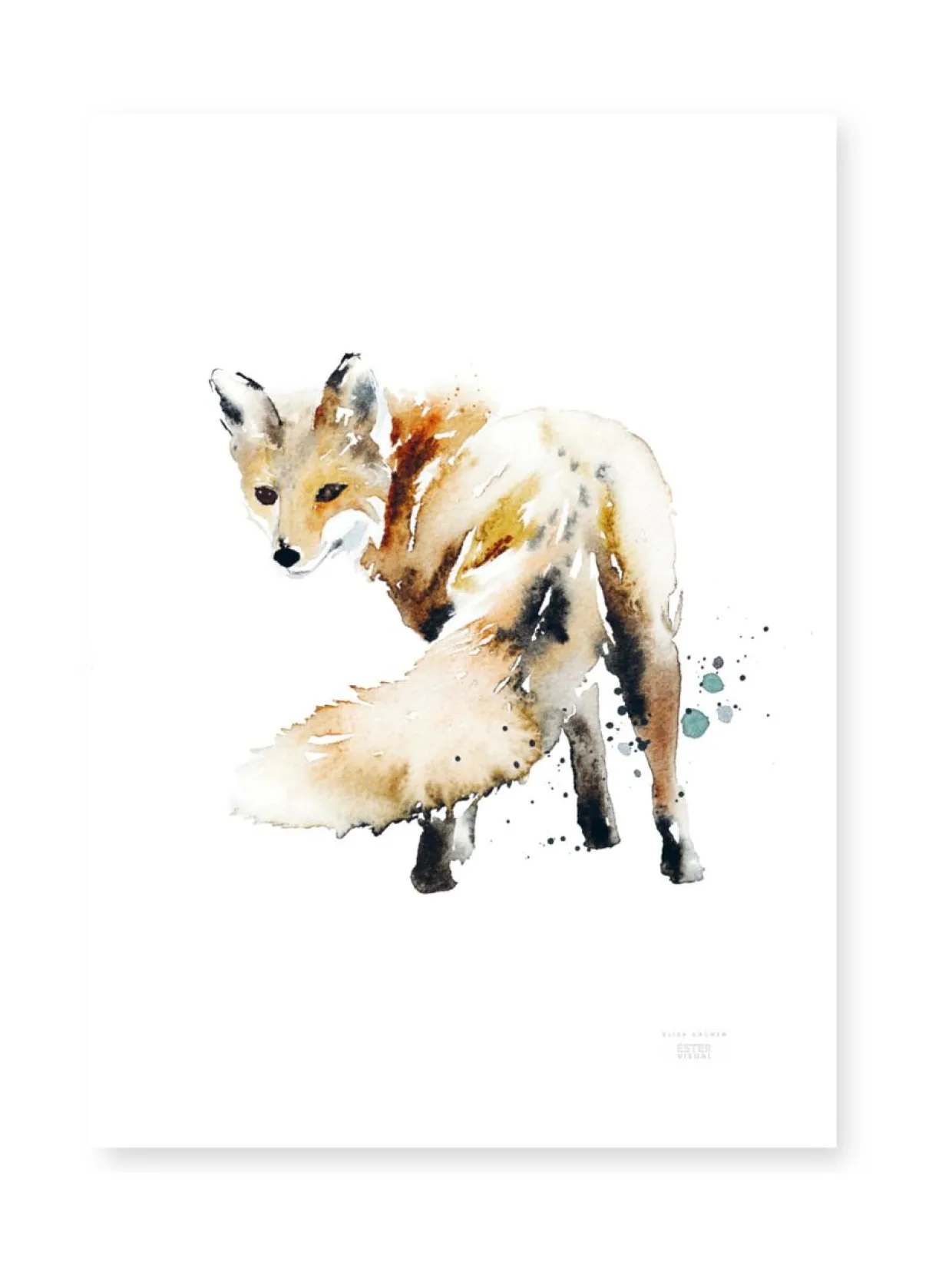 Juliste Ketunhäntä 50x70 cm