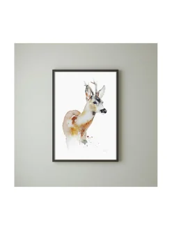 Juliste Metsäkauris 50x70 cm