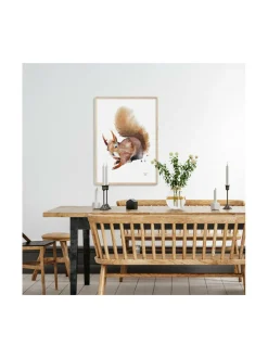 Juliste Orava 50x70 cm