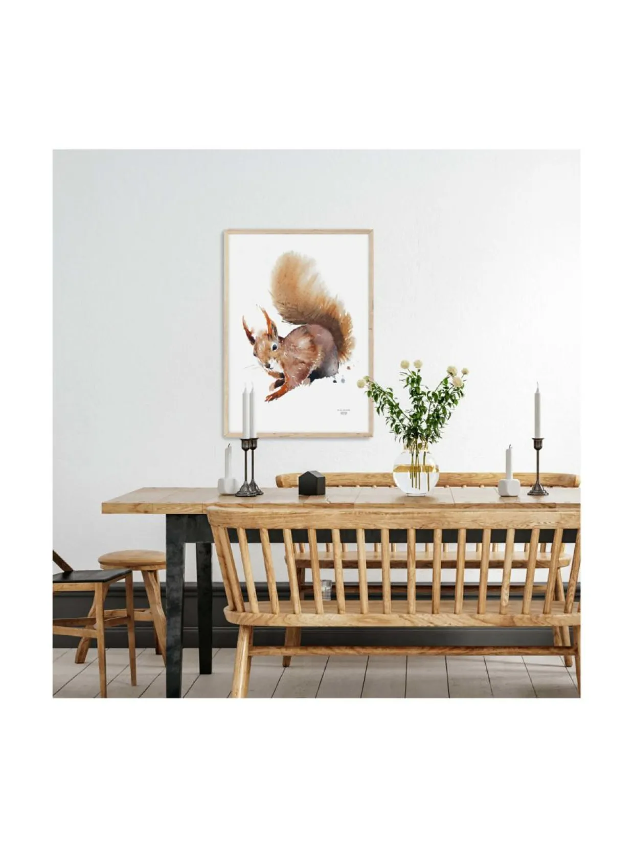 Juliste Orava 50x70 cm