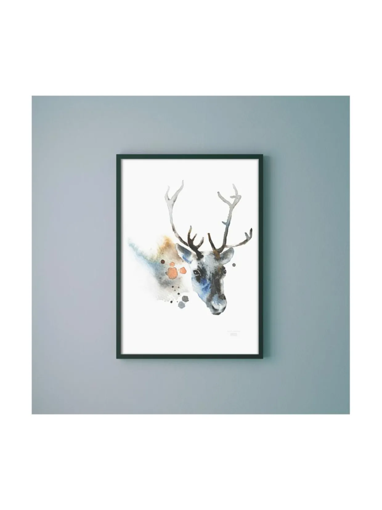 Juliste Poro 50x70 cm