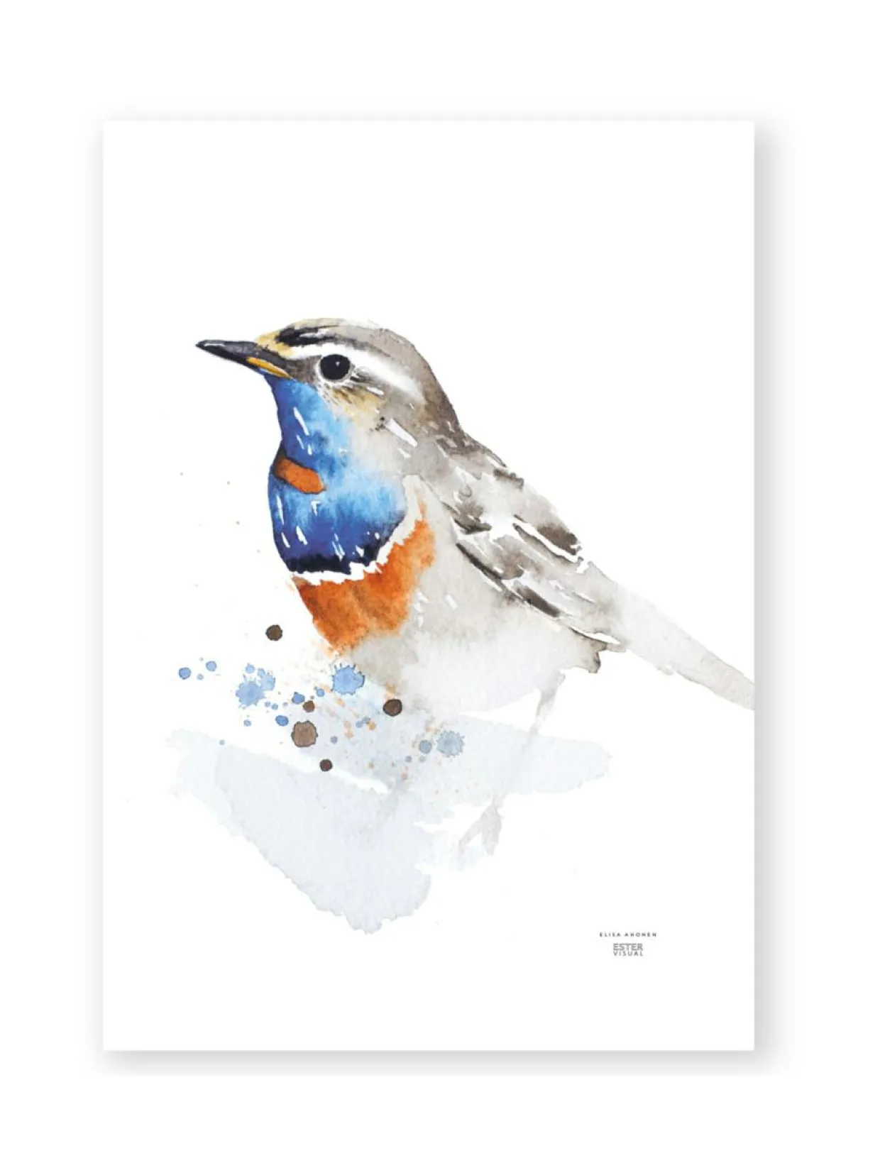 Juliste Sinirinta 50x70 cm