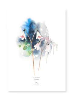 Juliste Vanamo 50x70 cm