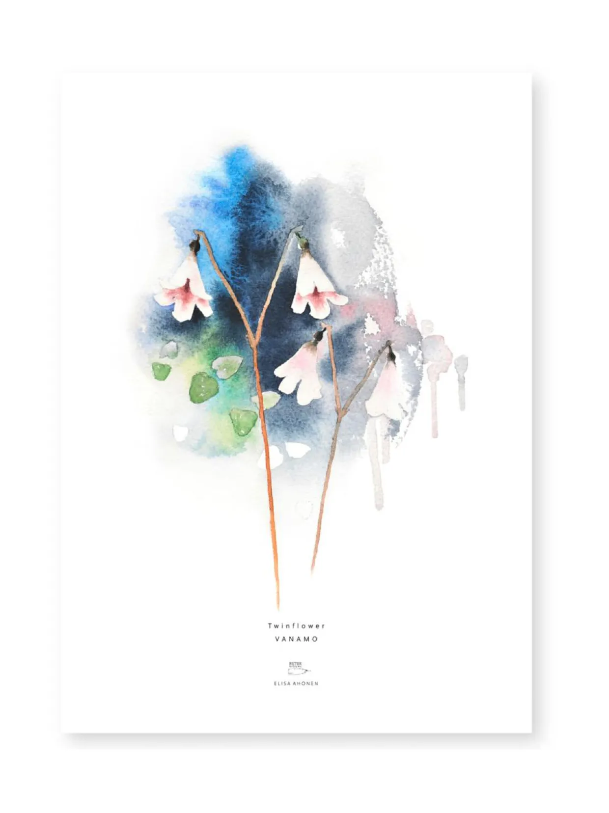 Juliste Vanamo 50x70 cm